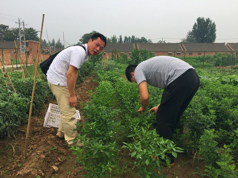 好利來郭總喊您來摘菜啦！綠色無公害，放心！